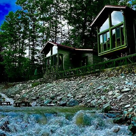 Doga Su Minimal Evler Villa Sapanca Eksteriør billede