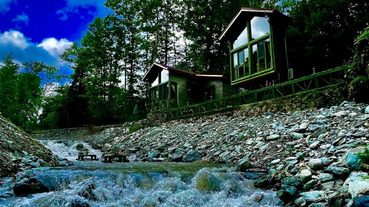 Doga Su Minimal Evler Villa Sapanca Eksteriør billede