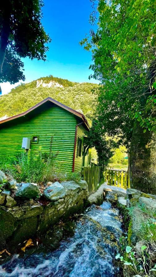Doga Su Minimal Evler Villa Sapanca Eksteriør billede