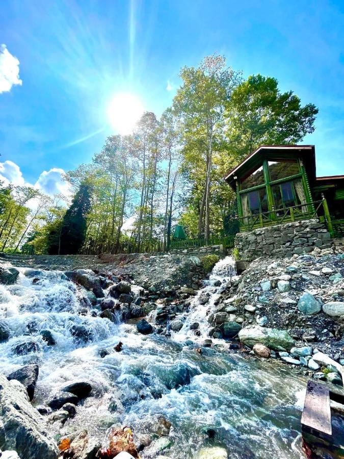 Doga Su Minimal Evler Villa Sapanca Eksteriør billede
