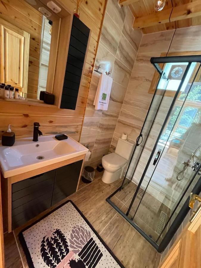 Doga Su Minimal Evler Villa Sapanca Eksteriør billede